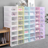 Plastic Shoe Box