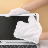 Non Wooven Disposable Cleaning Dusters (10pcs Pack)