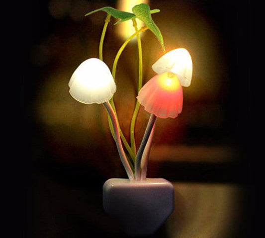 Night sensor light