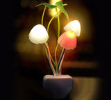 Night sensor light