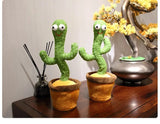 Dancing cactus