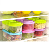 Partition Food Container (Pack Of 2)