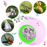 Digital Glowing Alarm Clock