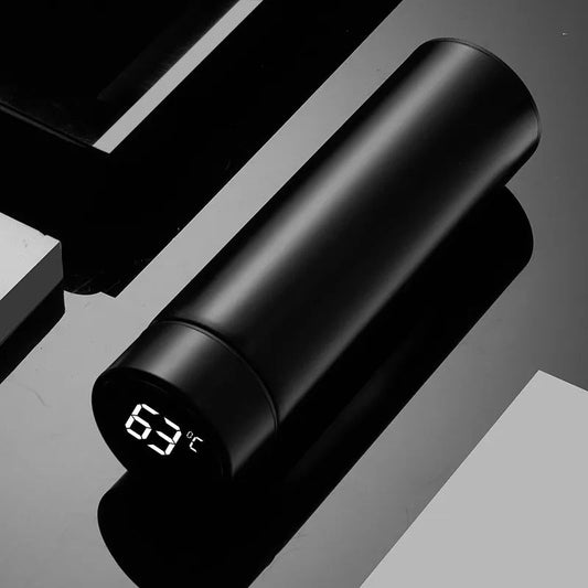 Water Bottle With Temperature Display